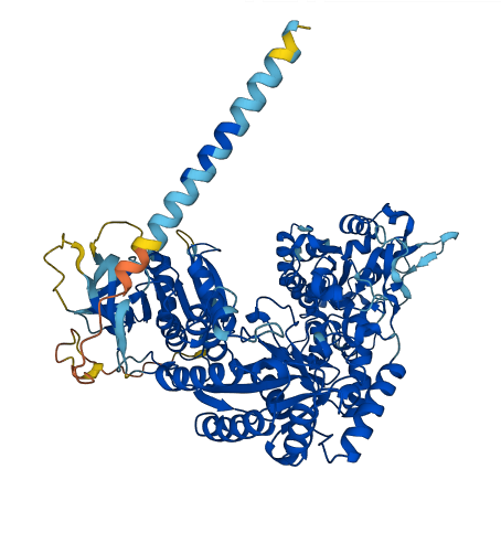 NDST3 3D structure