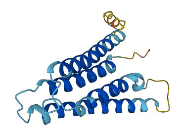 TMEM50A 3D structure