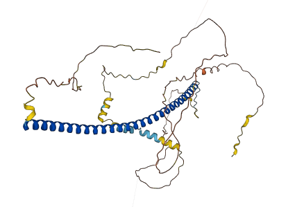CAVIN2 3D structure
