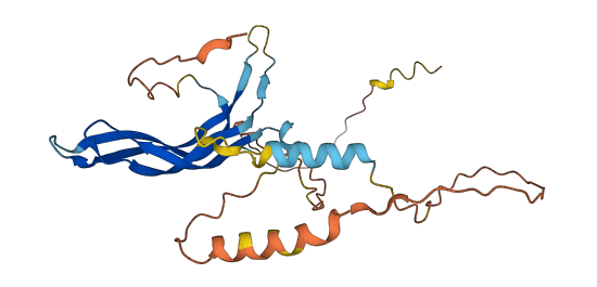 CER1 3D structure