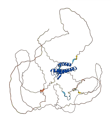 BAG3 3D structure
