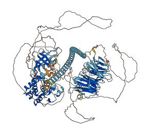 MAP4K4 3D structure