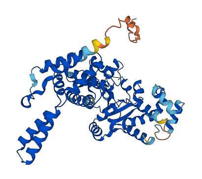 MLYCD 3D structure