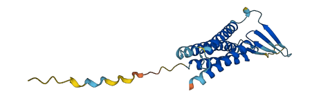 CLDN1 3D structure