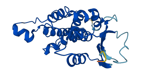 CLIC3 3D structure