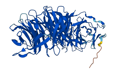 EML2 3D structure