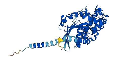 GNA14 3D structure