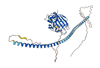 ANGPTL1 3D structure