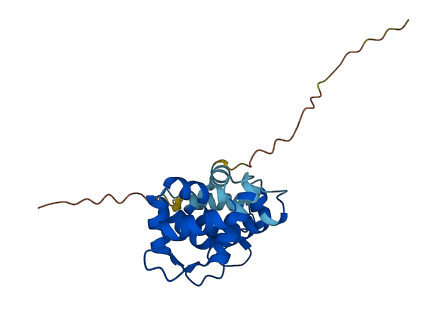 GUCA1C 3D structure
