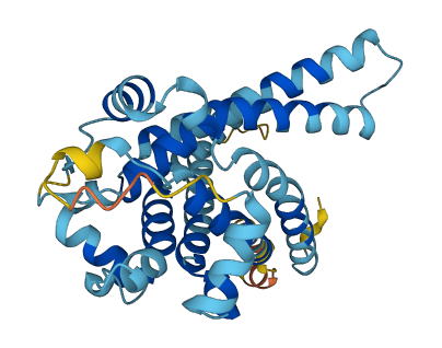 SLC25A27 3D structure