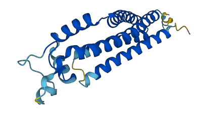 TSPAN13 3D structure