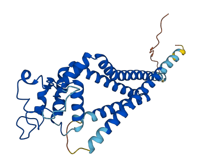 TSPAN15 3D structure