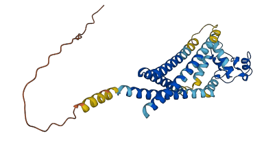 TSPAN12 3D structure