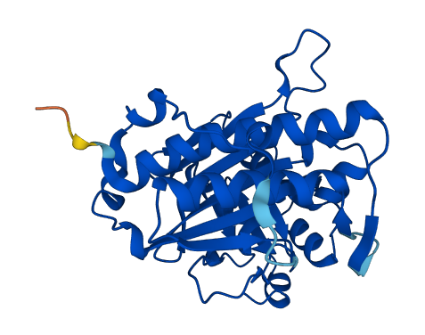 BPNT1 3D structure