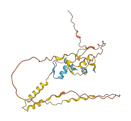 SNAI1 3D structure
