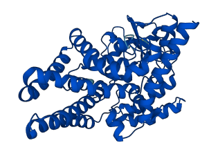 FADS2 3D structure