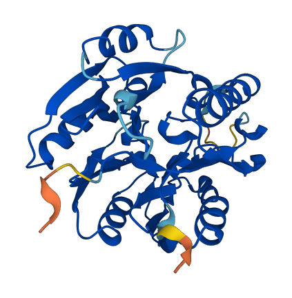 DDAH2 3D structure