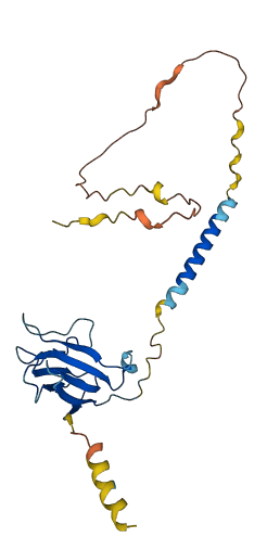 MPIG6B 3D structure
