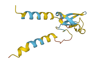 LY6G6D 3D structure