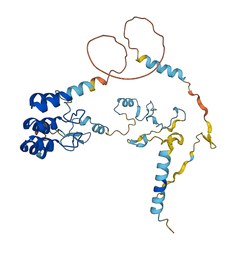 GPANK1 3D structure