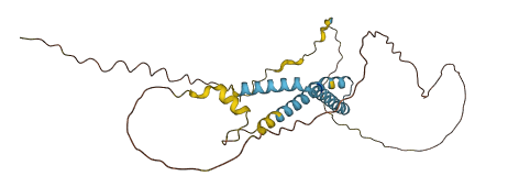 C6orf47 3D structure