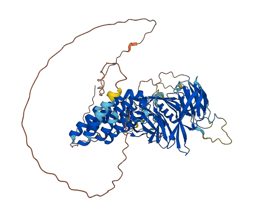 WDPCP 3D structure