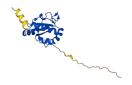 TXNDC12 3D structure