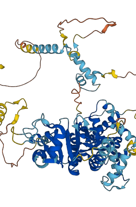 ECD 3D structure