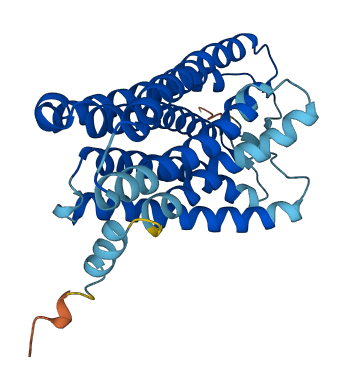 OR2H2 3D structure