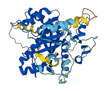 TTLL1 3D structure
