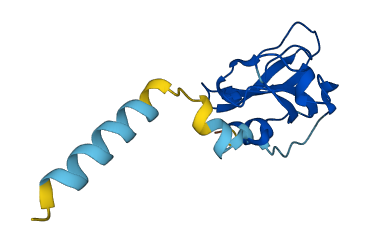 EPPIN 3D structure