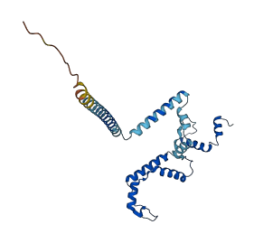 SYF2 3D structure