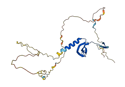CBX7 3D structure