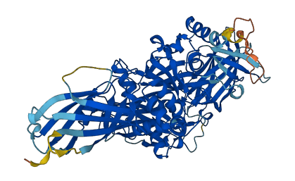 TGM6 3D structure