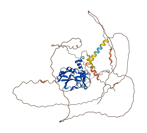 TBX18 3D structure