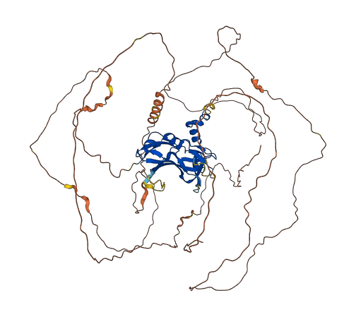 EOMES 3D structure