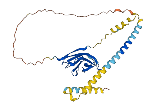 NCR2 3D structure