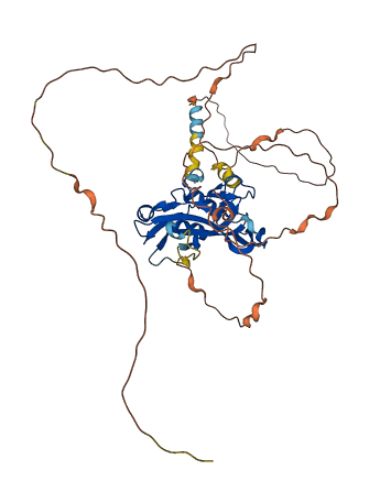 TBX6 3D structure