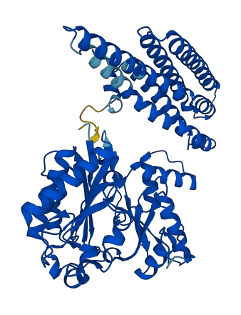 FTCD 3D structure