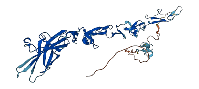 EFEMP2 3D structure