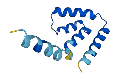 SCGB1D1 3D structure