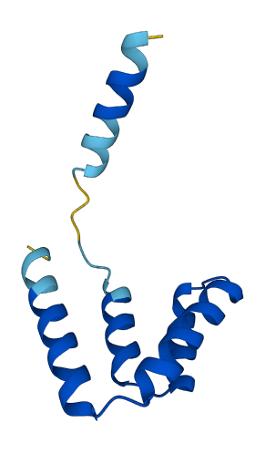 SCGB1D2 3D structure