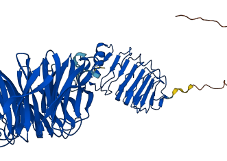 LGI1 3D structure