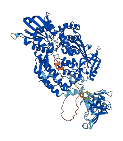 TOP3B 3D structure