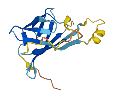 TCL1B 3D structure