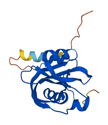 NUDT3 3D structure