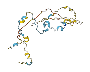PTTG1 3D structure