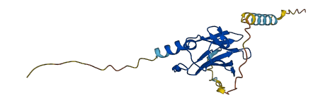 IL18BP 3D structure