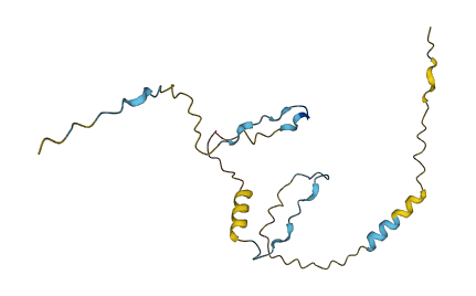 PPP1R17 3D structure