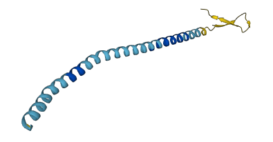 CXorf1 3D structure